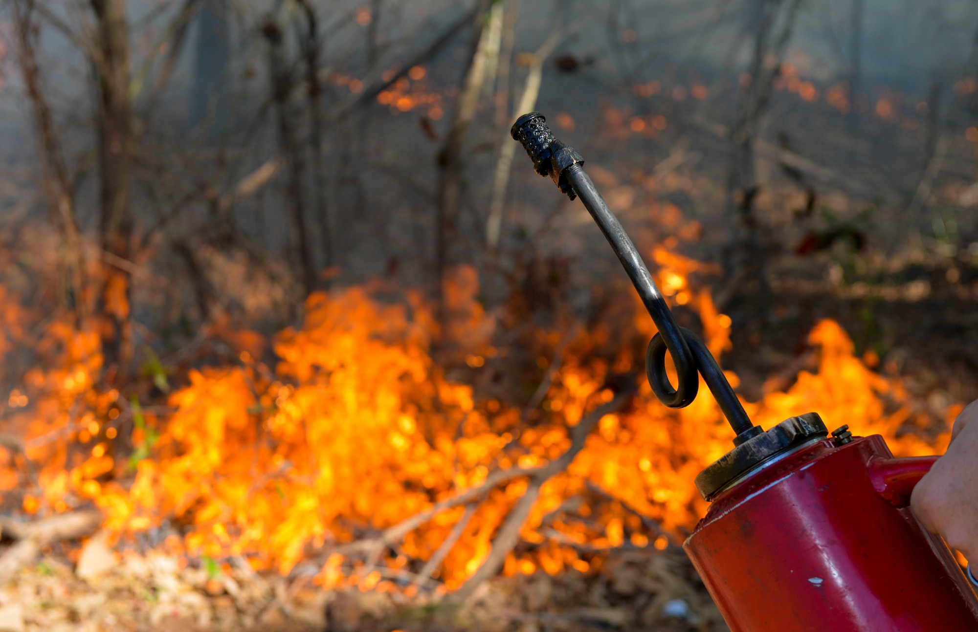 Matthew Stroupe, 2nd Civil Engineer Squadron natural resources manager, uses a drip torch to ignite a fire during a controlled burn at Barksdale Air Force Base, La., Feb. 4, 2016. The drip torch combined a mix of diesel and gasoline to create the desired fuel consistency used for igniting controlled fires. (U.S. Air Force photo/Airman 1st Class Mozer O. Da Cunha)