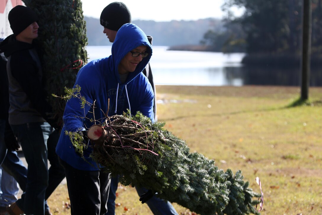 Private first class Sidney Livingston stacks trees for distribution during the 10th annual trees for troops event at Marine Corps Air Station Cherry Point, N.C., Dec. 8, 2015. More than 400 free trees were distributed to service members and their families as a symbol of brotherhood and appreciation from the community during the holiday season. Livingston is a bulk fuel specialist with Marine Wing Support Squadron 274. (U.S. Marine Corps photo by Cpl. N.W. Huertas/Released)