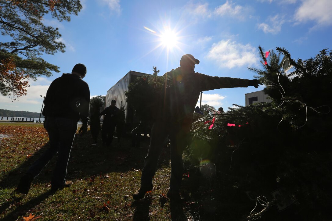 Marines stack trees for distribution during the 10th annual trees for troops event at Marine Corps Air Station Cherry Point, N.C., Dec. 8, 2015. More than 400 free trees were distributed to service members and their families as a symbol of brotherhood and appreciation from the community during the holiday season. (U.S. Marine Corps photo by Cpl. N.W. Huertas/Released)