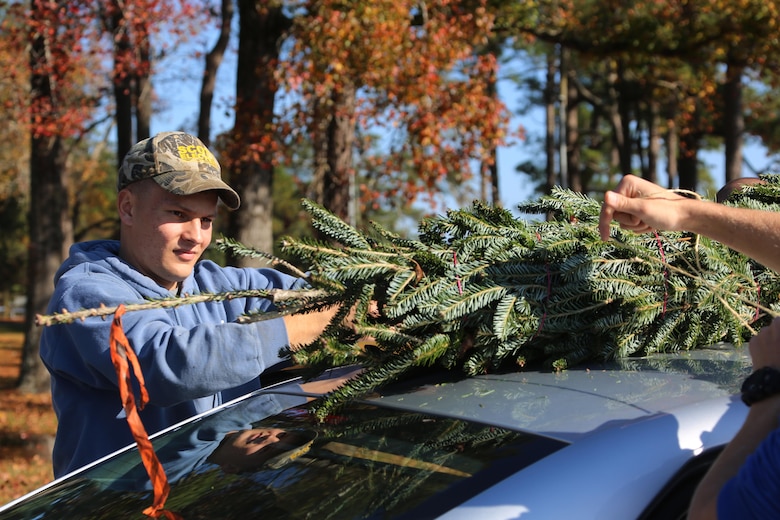 Lance Cpl. Blake Greil ties a tree to a vehicle during the 10th annual trees for troops event at Marine Corps Air Station Cherry Point, N.C., Dec. 8, 2015. More than 400 free trees were distributed to service members and their families as a symbol of brotherhood and appreciation from the community during the holiday season. Greil is a bulk fuel specialist with Marine Wing Support Squadron 274. (U.S. Marine Corps photo by Cpl. N.W. Huertas/Released)