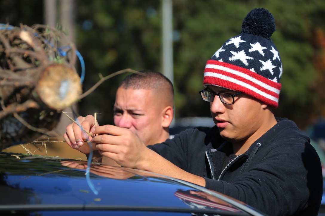 Lance Cpl. Jesus Gallaga ties a tree to a vehicle during the 10th annual trees for troops event at Marine Corps Air Station Cherry Point, N.C., Dec. 8, 2015. More than 400 free trees were distributed to service members and their families as a symbol of brotherhood and appreciation from the community during the holiday season. Gallaga is a bulk fuel specialist with Marine Wing Support Squadron 274. (U.S. Marine Corps photo by Cpl. N.W. Huertas/Released)