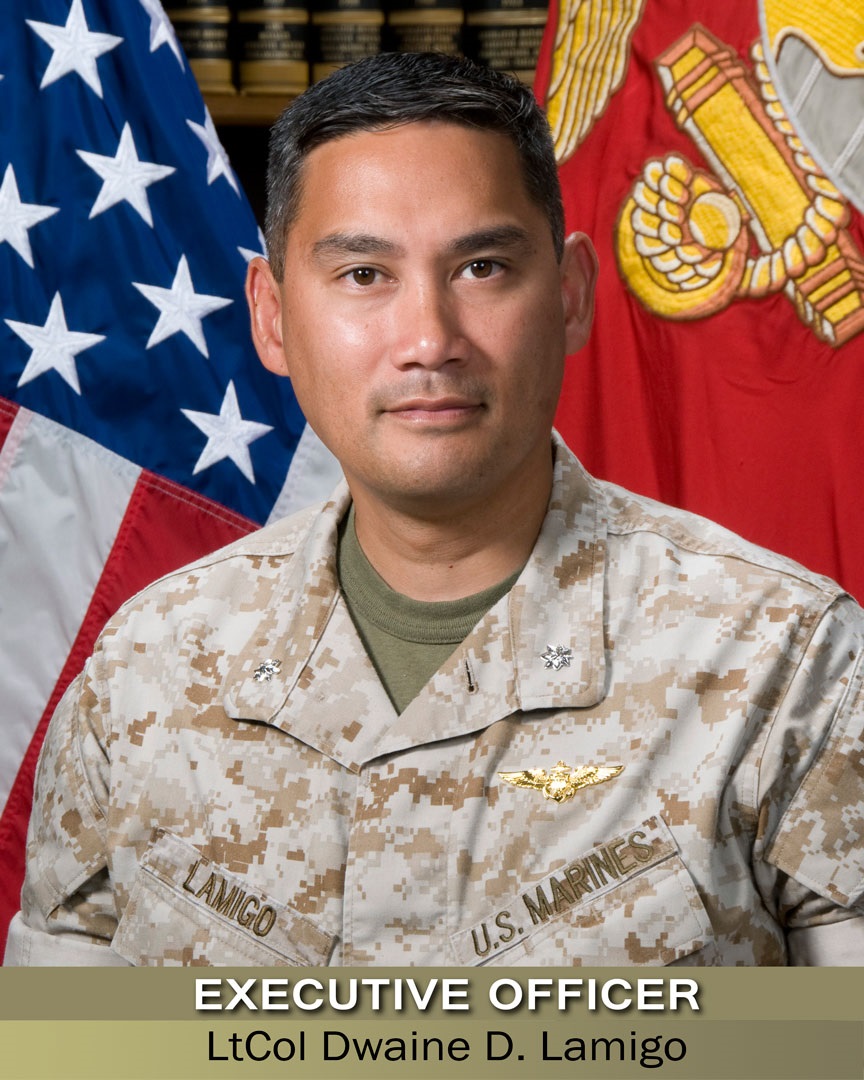 Lieutenant Colonel Dwaine D. Lamigo  BIO PHOTO