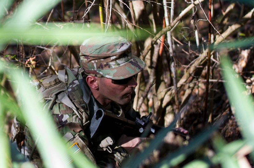 Sgt. Joseph Oneto, a military police with the 724th Military Police Detainee Operations Battalion, from Naples, Fla., plows through palmettos during a land navigation event, at Camp Blanding, Fla., Feb. 9. The land navigation event is part of this year's 200th Military Police Command's Best Warrior Competition. The winning noncommissioned officer and junior enlisted Soldiers will move on the U.S. Army Reserve Command competition in May. (U.S. Army Photo by Sgt. Audrey Ann Hayes)