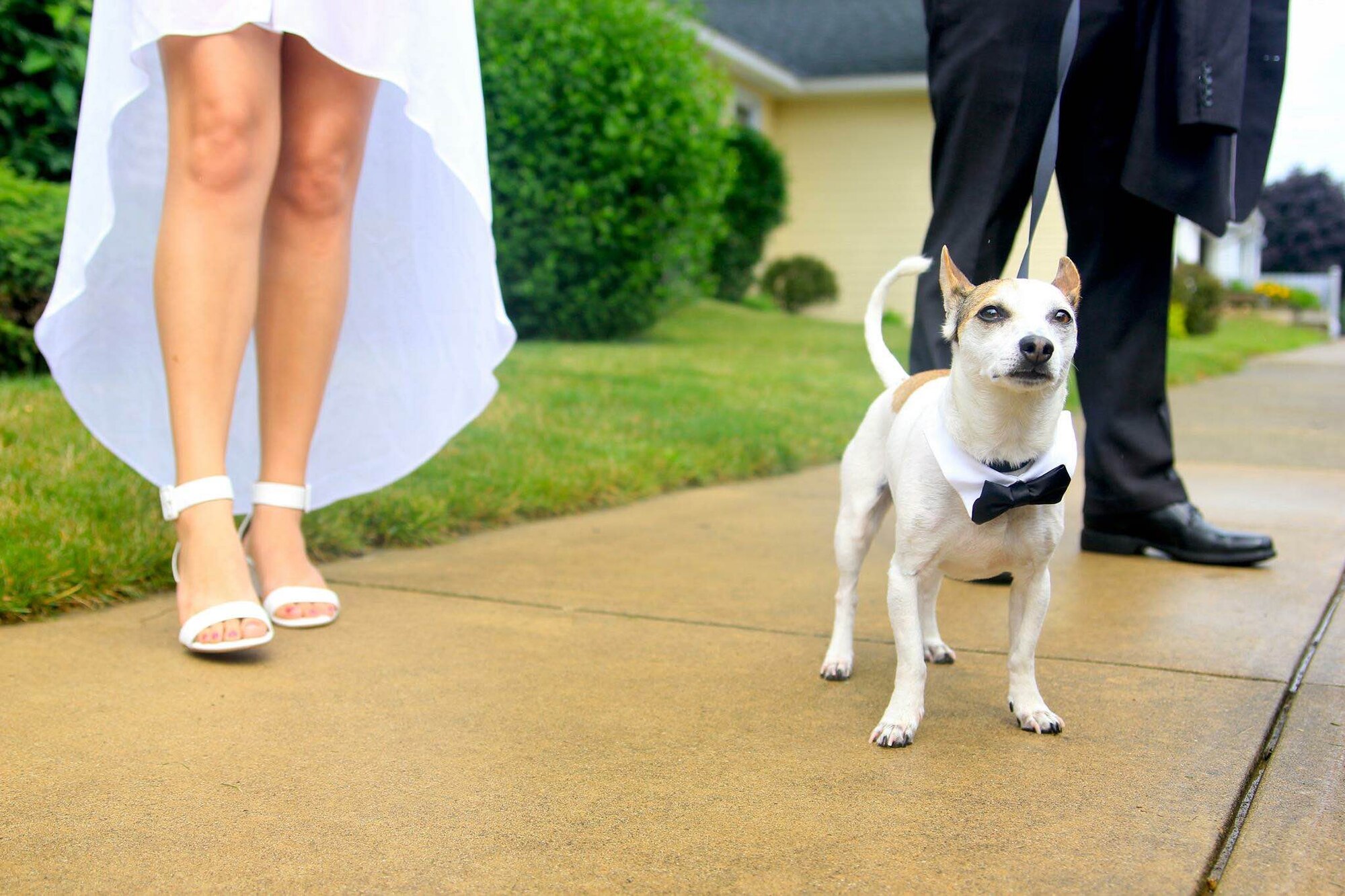 Ted participates in the marriage of Senior Airman Jillian Shell, 494th Aircraft Maintenance Unit supply technician, and Mikal Shell at Devils Lake, Mich., June 28, 2014. Since meeting Jillian and Ted, Mikal said the trio have become the three musketeers. (Courtesy photo)
