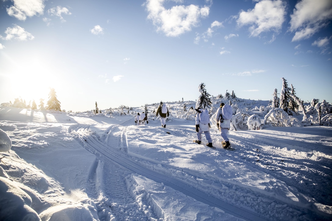 Allied soldiers cross-country ski under winter conditions with Norwegian equipment, Jan. 19, 2016. Norwegian Army photo by Olav Standal Tangen
