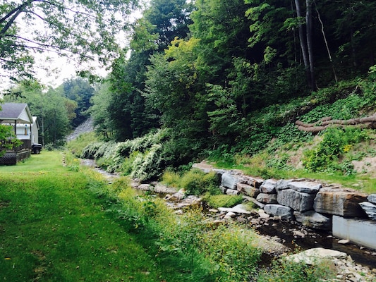 Third Brook today is now stabilized and vegetated. 