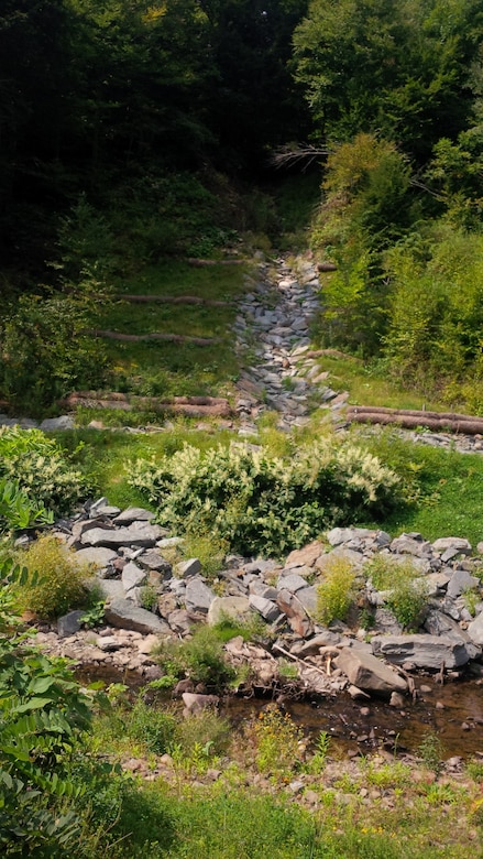 Third Brook’s stream banks are stabilized today with large rock at the toe of the banks and native plant vegetation. 