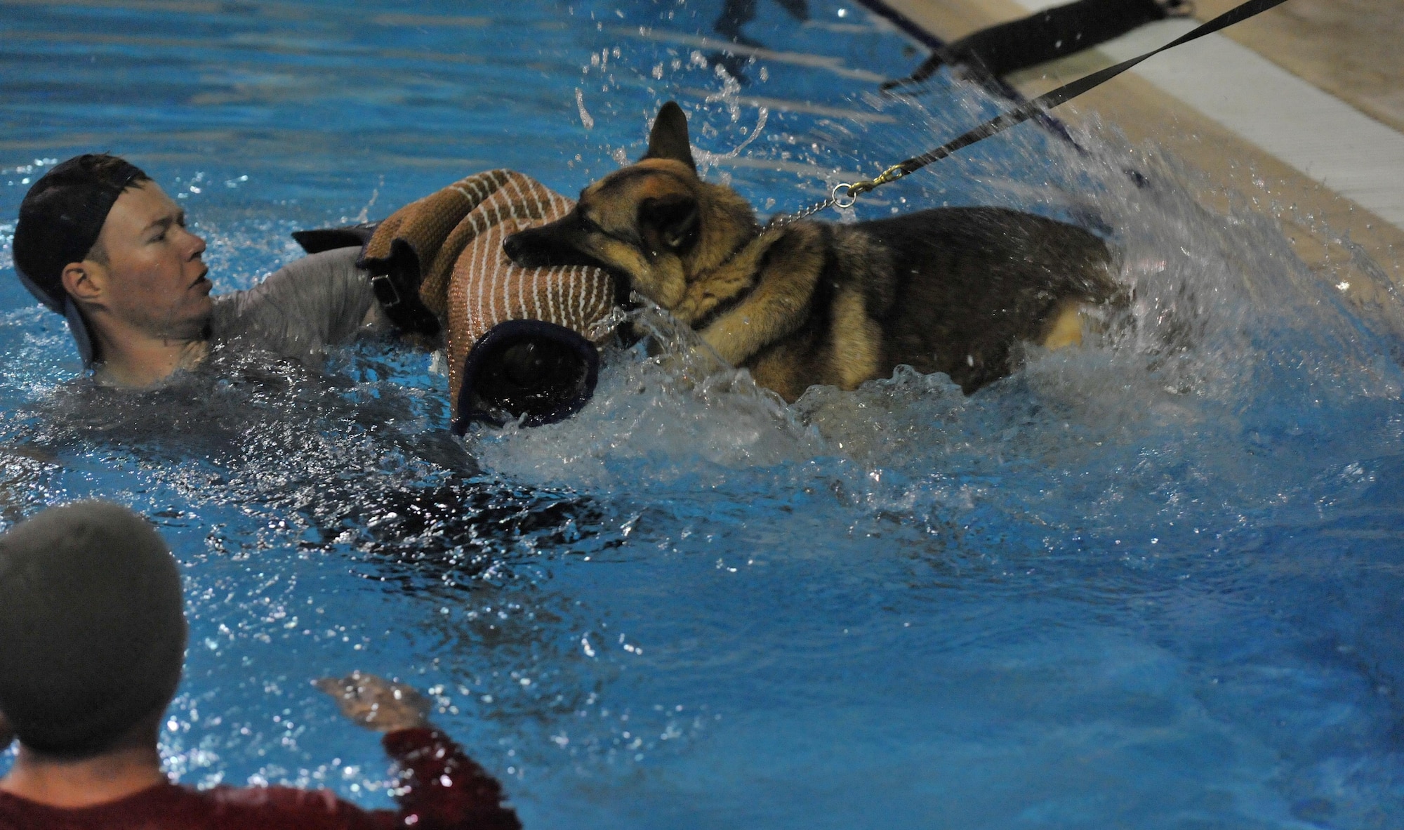 Satie, 380th Expeditionary Security Forces Squadron military working dog, age four, attacks a bite sleeve during annual water-based aggression training at the base pool at undisclosed location in Southwest Asia, Jan. 18, 2016. Bite sleeves are leathery training aids worn over the arm by agitators or trainers to protect themselves from injury during bite training with military working dogs. (U.S. Air Force photo by Staff Sgt. Kentavist P. Brackin/released)