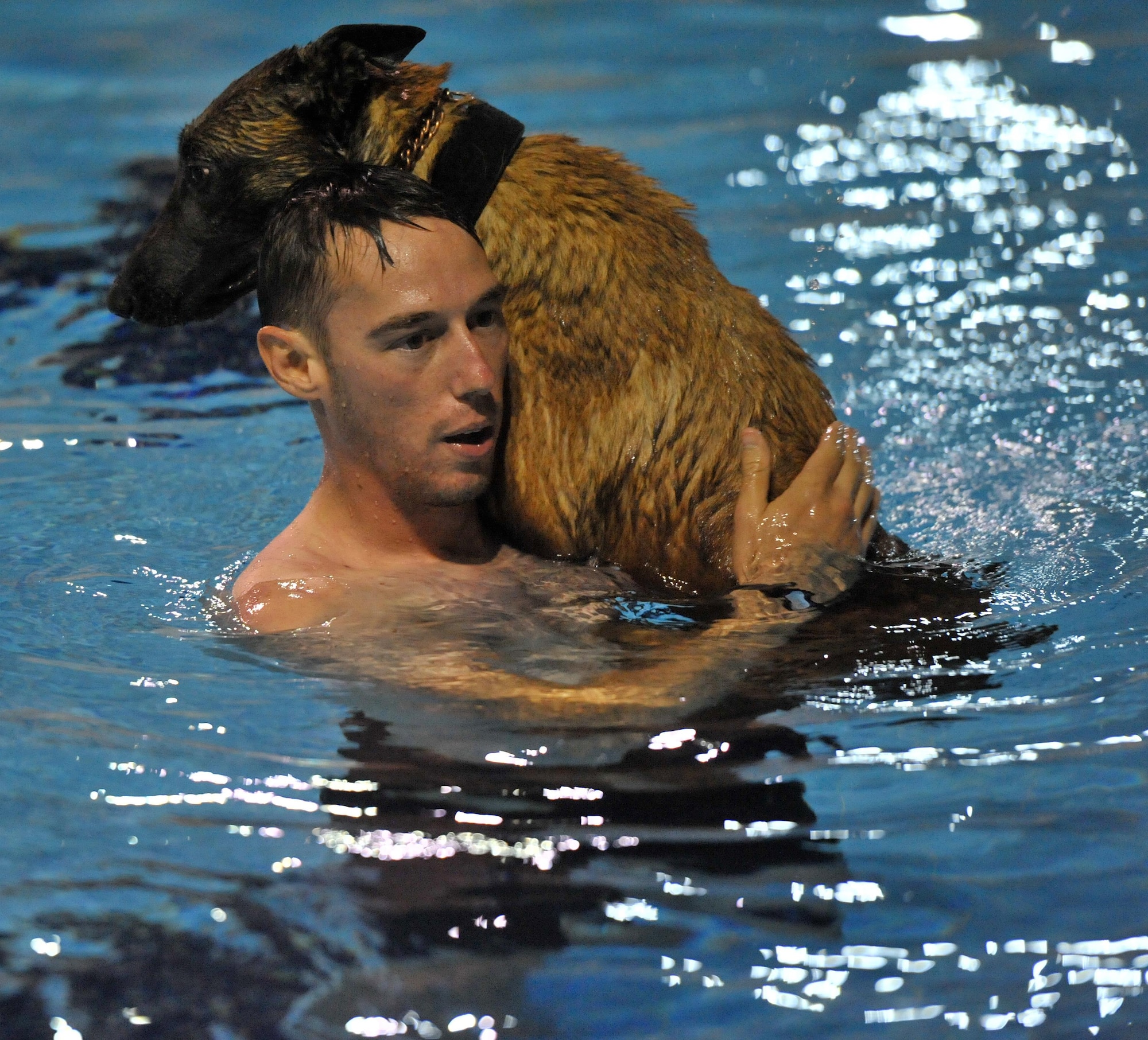 Staff Sgt. Kenten, a 380th Expeditionary Security Forces Squadron military working dog handler, carries his K9 partner, Ppixie, age three, during annual water-based aggression training at the base pool at undisclosed location in Southwest Asia, Jan. 18, 2016. In addition to water familiarization, military working dog handlers said the training allowed dogs and their handlers to strengthen their bonds. (U.S. Air Force photo by Staff Sgt. Kentavist P. Brackin/released)
