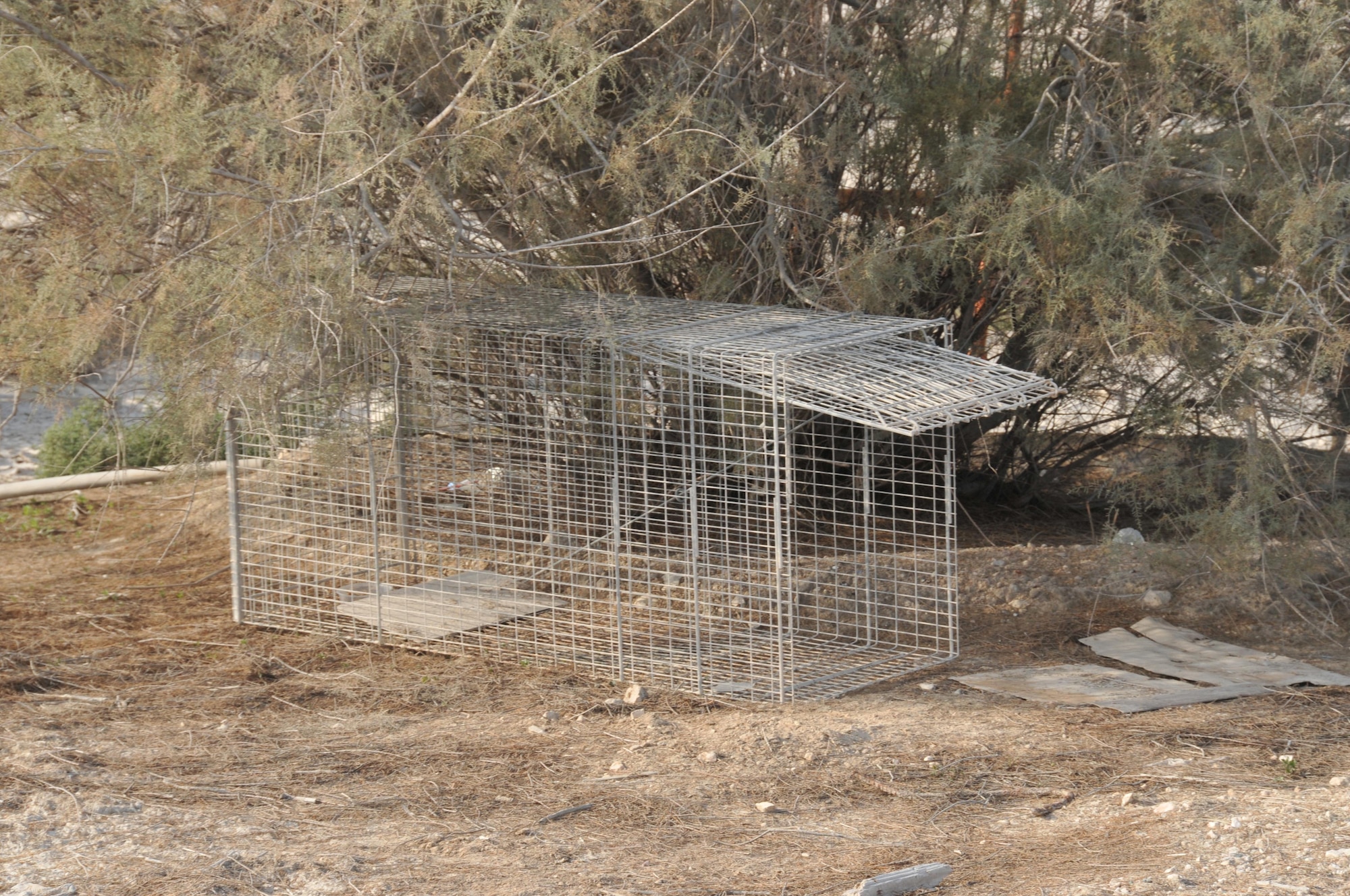 The 379th Expeditionary Civil Engineer Squadron pest management technicians use cages to catch wild dogs at Al Udeid Air Base, Qatar. AUAB is a natural habitat for foxes, so when they are caught in a cage, they are released back into their natural environment. Pest management emphasizes do not feed the animals. (U.S. Air Force photo by Tech. Sgt. Terrica Y. Jones/Released)