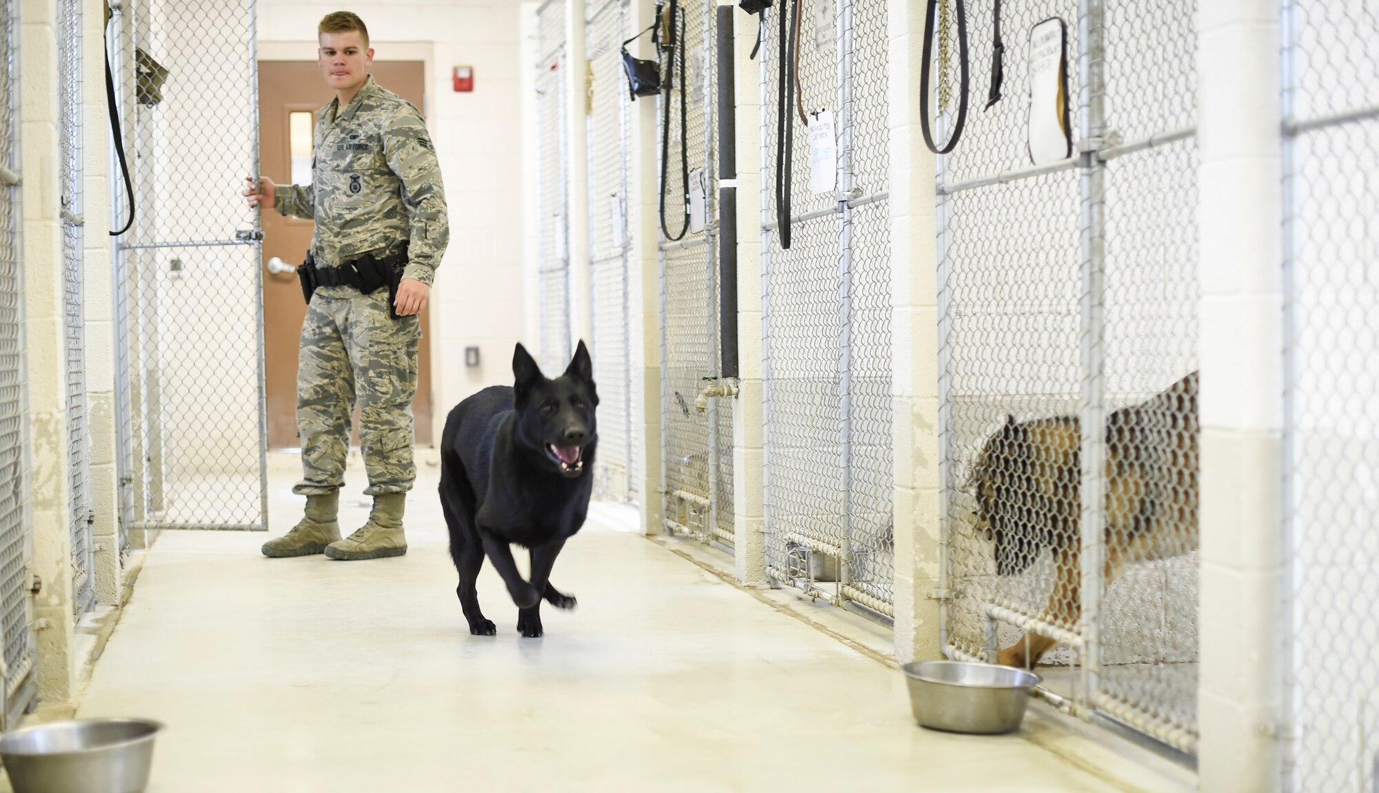 Senior Airman Devin Lewis, 49th Security Forces Squadron military working dog handler lets a military working dog out for a comfort break Feb. 17 at Holloman Air Force Base N.M. The dogs spend the day with their handlers practicing basic obedience as well as more advanced skills, such as how to attack and how to sniff for specific substances. The handlers are also responsible for all the care and maintenance of the dogs, playing with them, feeding them and cleaning the kennels.  (U.S. Air Force photo/Staff Sgt. Stacy Moless)