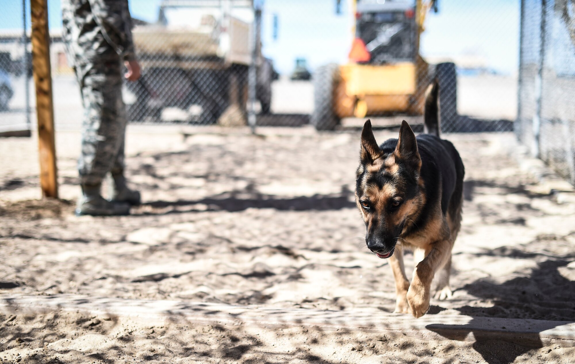 Senior Airman Devin Lewis, 49th Security Forces Squadron military working dog handler lets a military working dog out for a comfort break Feb. 17 at Holloman Air Force Base N.M. The dogs spend the day with their handlers practicing basic obedience as well as more advanced skills, such as how to attack and how to sniff for specific substances. The handlers are also responsible for all the care and maintenance of the dogs, playing with them, feeding them and cleaning the kennels.  (U.S. Air Force photo/Staff Sgt. Stacy Moless)