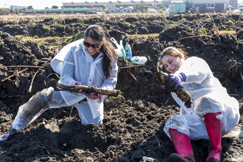 Mandie Woods, left, and April Rosales, residents from Marine Corps Air Station Iwakuni dig lotus roots during a cultural adaptation program at Yamaguchi’s Agricultural, Forestry, Fisheries, and? Stockbreeding in Iwakuni City, Japan, Feb. 10, 2016. After learning about lotus roots, residents along with other Japanese nationals took to the fields to dig up their own.
