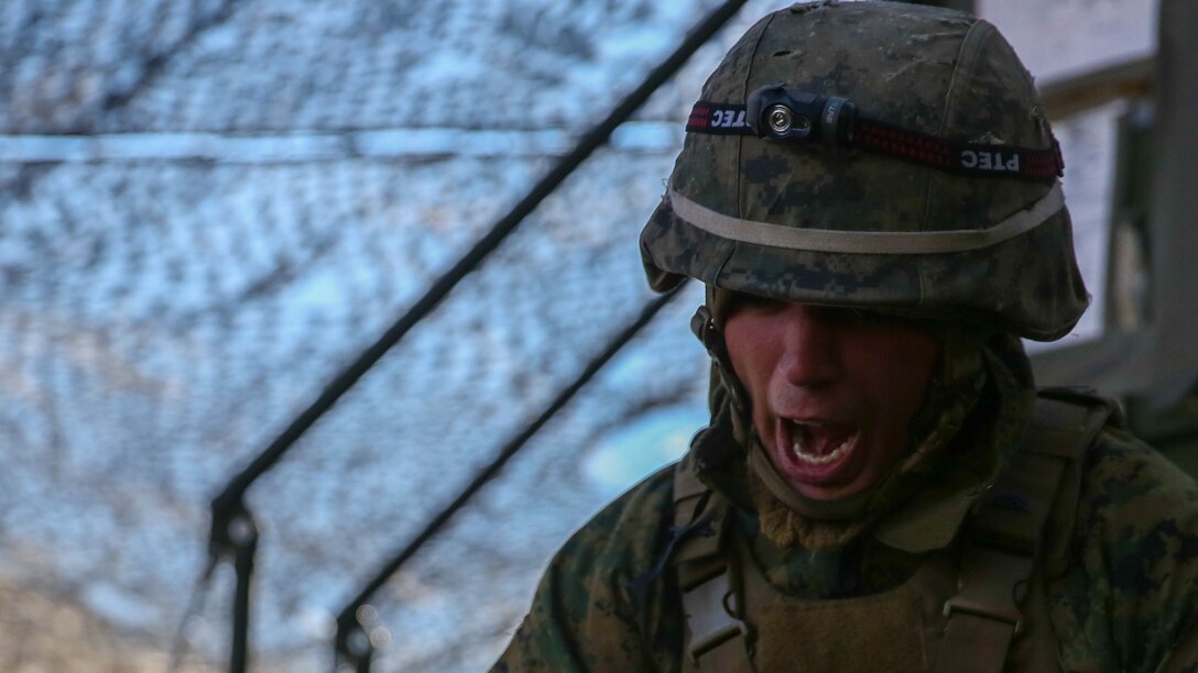 Cpl. Ryan Larmore, a section chief with 1st Battalion, 10th Marine Regiment, gives the command to fire his section’s M777A2 howitzer during a fire mission in support of Tactical Air Control Party students during a training exercise at Marine Corps Base Camp Lejeune, N.C., Feb. 11, 2016. The ability to act on calls for fire with the expedience and precision required on the battlefield is vital to the success of a mission, even when it is only in training.