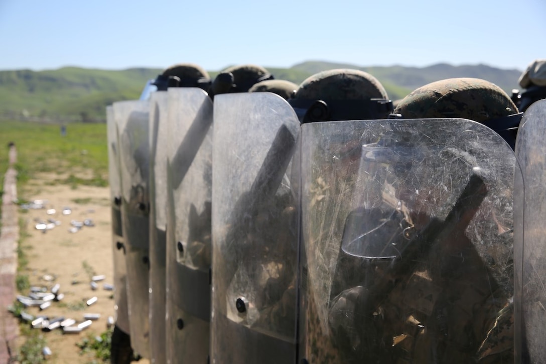 Marines practice riot control techniques during nonlethal weapons training Feb. 11, 2016 at Camp Pendleton. The Marines, with 1st Law Enforcement Battalion, used this training as preparation for their upcoming deployment with the 11th Marine Expeditionary Unit this summer. (U.S. Marine Corps photo by Cpl. Jonathan Boynes)