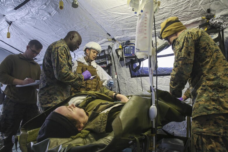 U.S. Marines and sailors with the 2nd Marine Expeditionary Brigade conduct notional medical care on a simulated Norwegian soldier casualty during combat casualty care training in Rena, Norway, Feb. 17, 2016. The evolution allowed the U.S. service members to rehearse medical care on their Norwegian counterparts, while also receiving feedback on the differences in techniques and equipment. The U.S. will collaborate with the Norwegians and 10 other NATO allies and partner nations for Exercise Cold Response 16 in March, which is designed to enhance joint crisis response capabilities in cold weather environments. (U.S. Marine Corps photo by Cpl. Lucas Hopkins/Released)