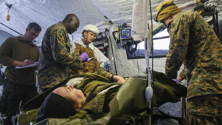 U.S. Marines and sailors with the 2nd Marine Expeditionary Brigade conduct notional medical care on a simulated Norwegian soldier casualty during combat casualty care training in Rena, Norway, Feb. 17, 2016. The evolution allowed the U.S. service members to rehearse medical care on their Norwegian counterparts, while also receiving feedback on the differences in techniques and equipment. The U.S. will collaborate with the Norwegians and 10 other NATO allies and partner nations for Exercise Cold Response 16 in March, which is designed to enhance joint crisis response capabilities in cold weather environments. 
