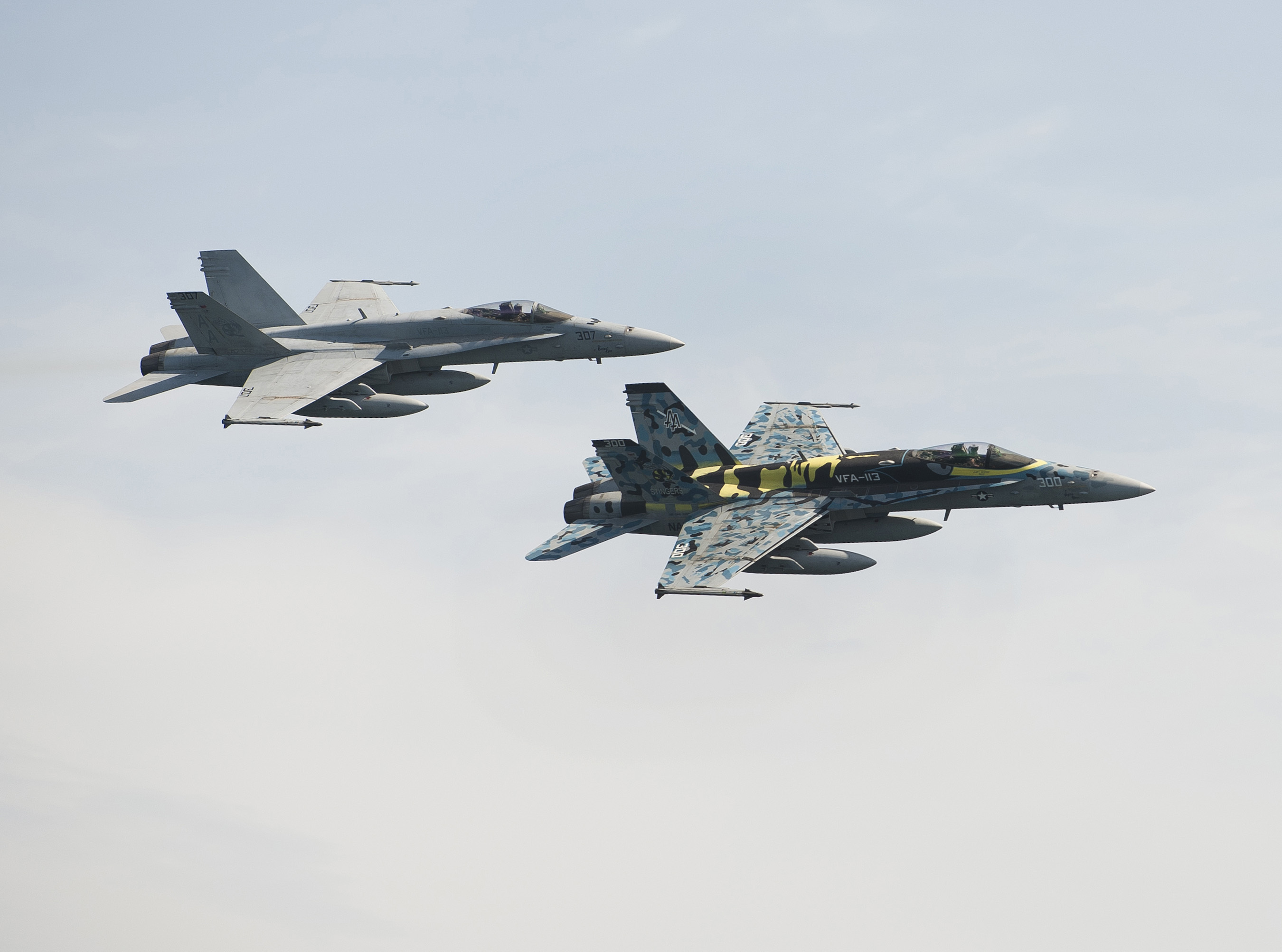 saページ VFA-113, NAS Lemoore Say Goodbye to the F/A-18C Hornet