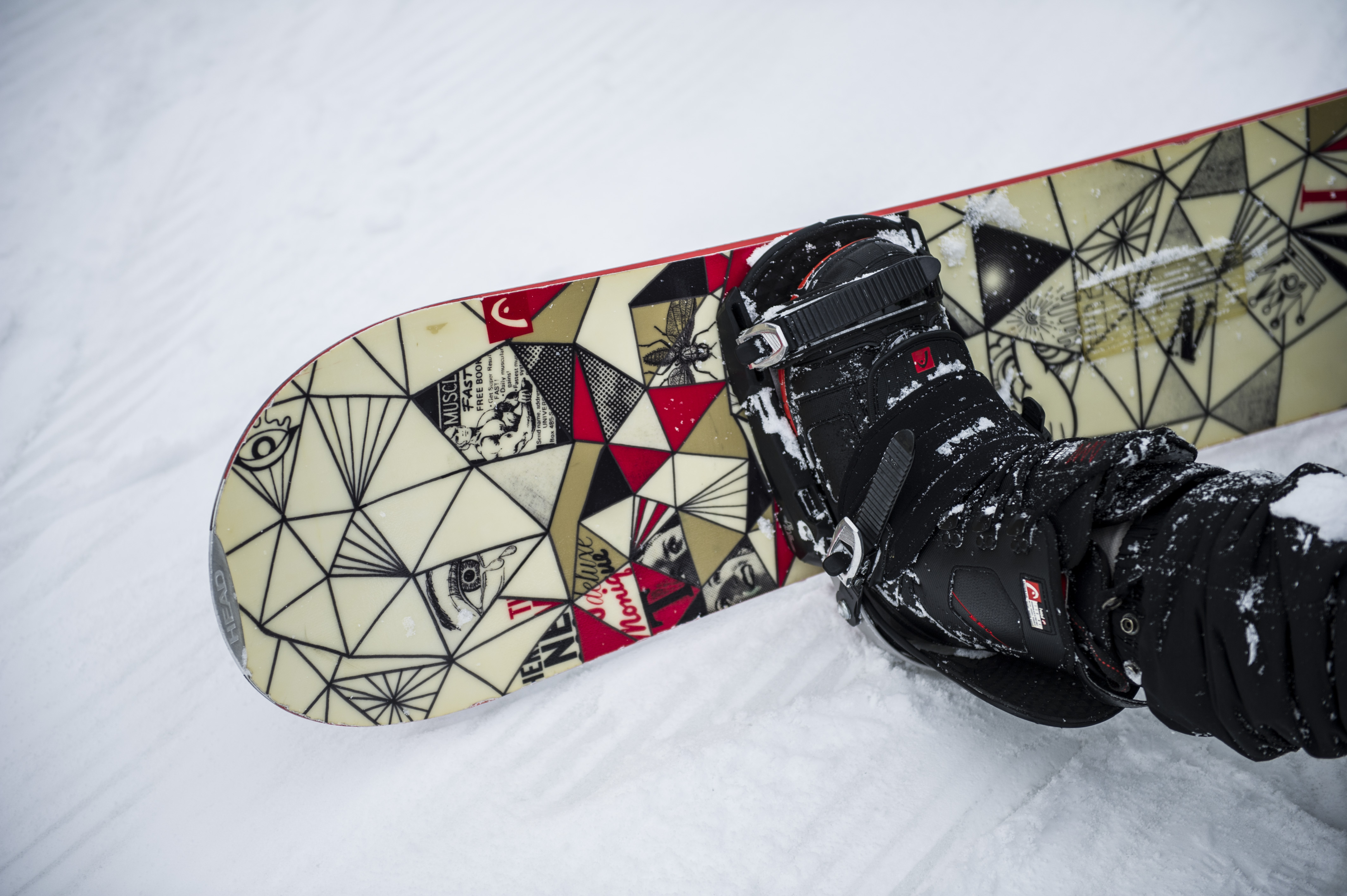 Bindings