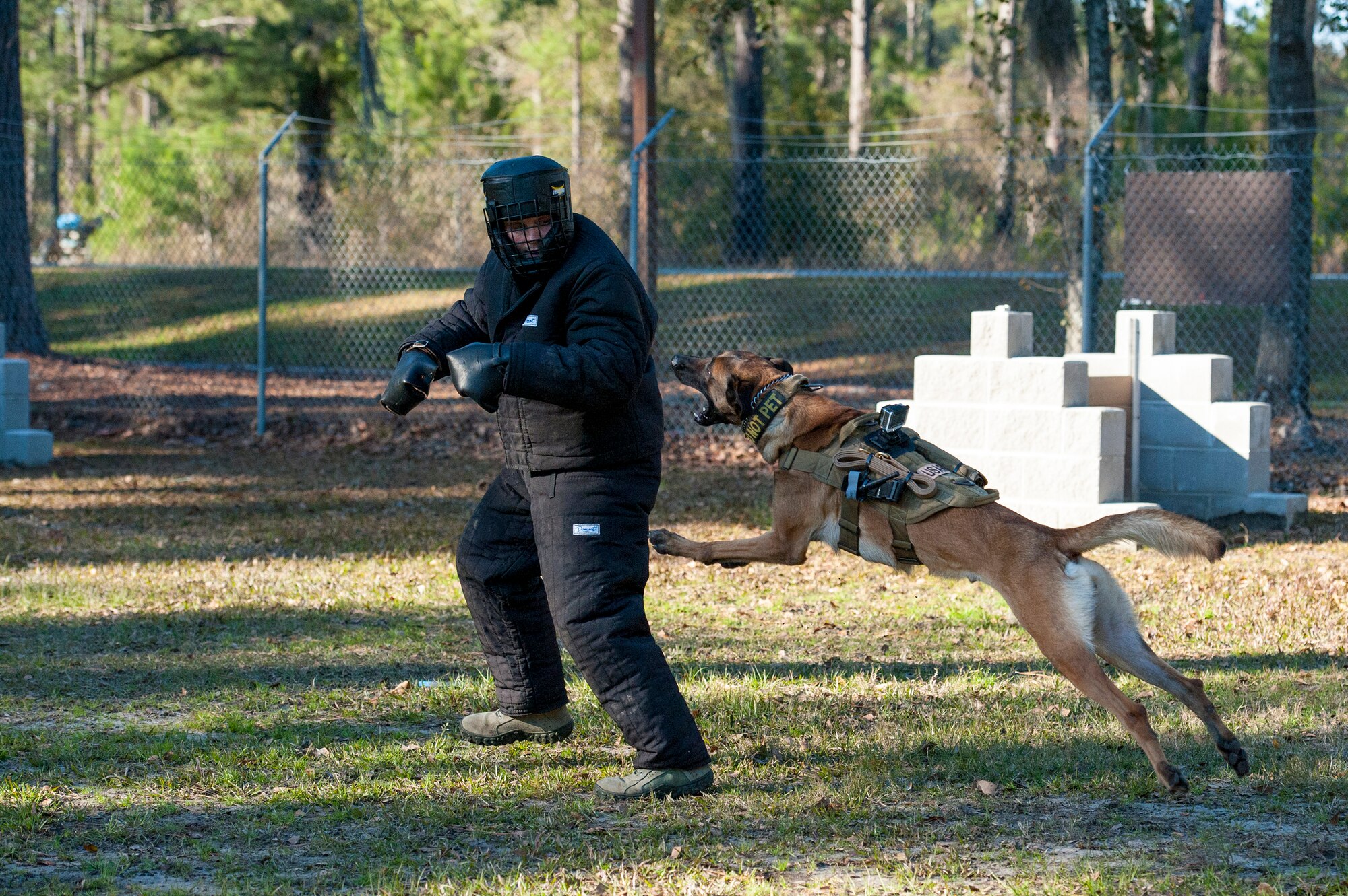 U.S. Air Force Capt. Trevor Millette, 23d Wing executive officer, runs from Military Working Dog Ttoby, 23d Security Forces Squadron, during a capabilities demonstration, Feb. 17, 2016, at Moody Air Force Base, Ga. Millette was given a head start to run away before Ttoby was given the command to attack. (U.S. Air Force photo by Airman 1st Class Lauren M. Johnson/Released)