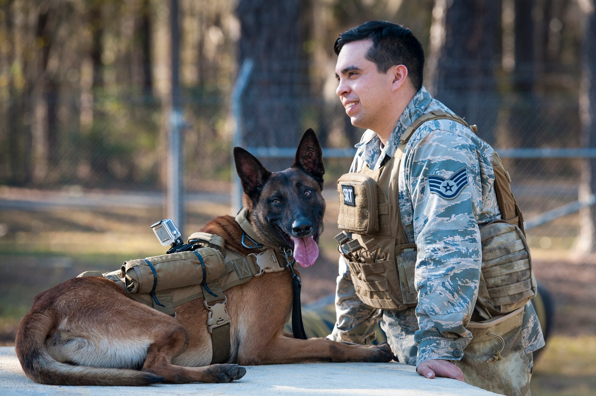 U.S. Air Force Staff Sgt. Devin Tiger, 23d Security Forces Squadron Military Working Dog handler, cools down with his dog, MWD Ttoby, after a capabilities demonstration, Feb. 17, 2016, at Moody Air Force Base, Ga. All dogs that go through the MWD program receive a tattoo in their left ear that is used for identification purposes. (U.S. Air Force photo by Airman 1st Class Lauren M. Johnson/Released)