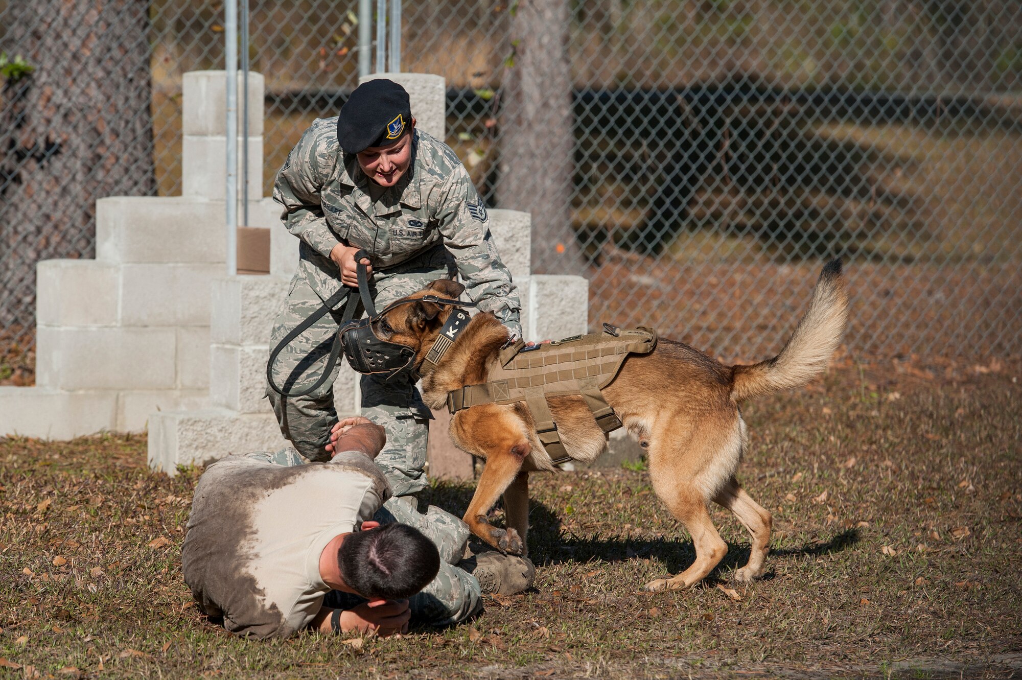 U.S. Air Force Staff Sgt. Lyndsay Gebhart, 23d Security Forces Squadron Military Working Dog handler, pulls MWD Nido off of a suspect during capabilities training, Feb. 17, 2016, at Moody Air Force Base, Ga. Nido wore a muzzle during the demonstration to show his ability to use force without causing harm to the suspect, a technique generally used in training scenarios. (U.S. Air Force photo by Airman 1st Class Lauren M. Johnson/Released)