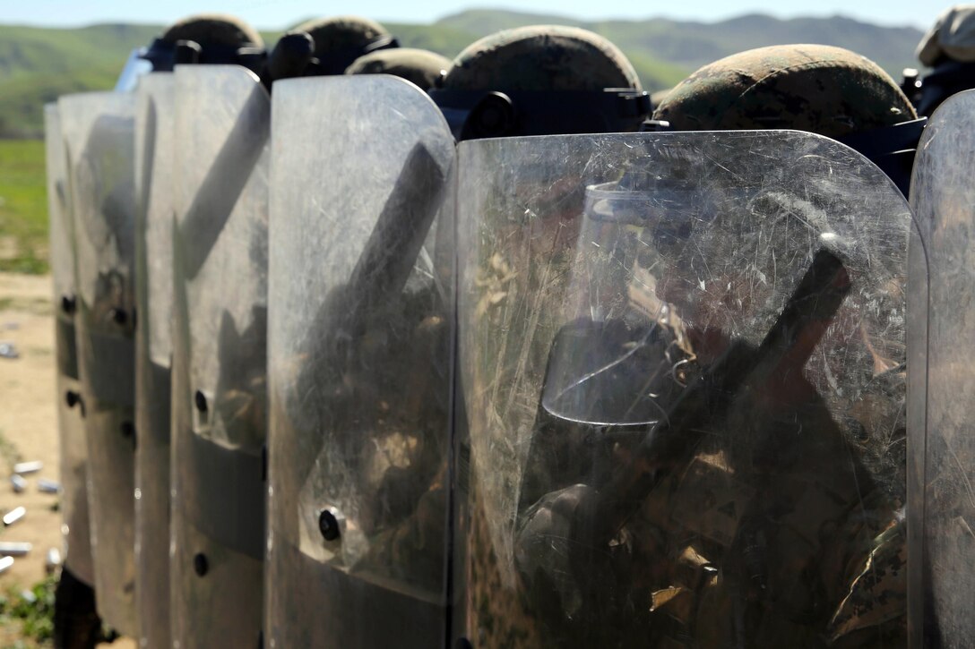 Marines practice riot control techniques during nonlethal weapons training on Camp Pendleton, Calif., Feb. 11, 2016. The Marines, with the 1st Law Enforcement Battalion, were preparing for an upcoming deployment. Marine Corps photo by Cpl. Jonathan Boynes