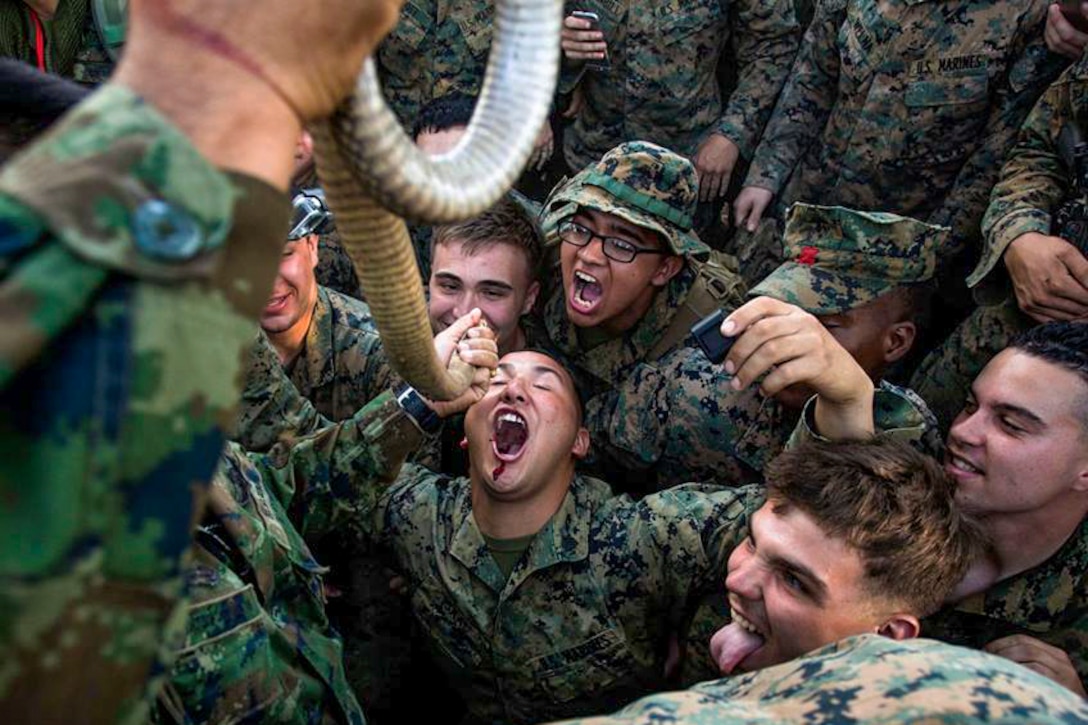 Marine Corps Sgt. Michael Isaac drinks the blood of a cobra during a jungle survival training event as part of Cobra Gold 2016 in Ban Chan Krem, Thailand, Feb. 13, 2016. Isaac is a radio operator assigned to Headquarters and Support Company, Battalion Landing Team, 1st Battalion, 5th Marine Regiment. Marine Corps photo by Cpl. Darien J. Bjorndal