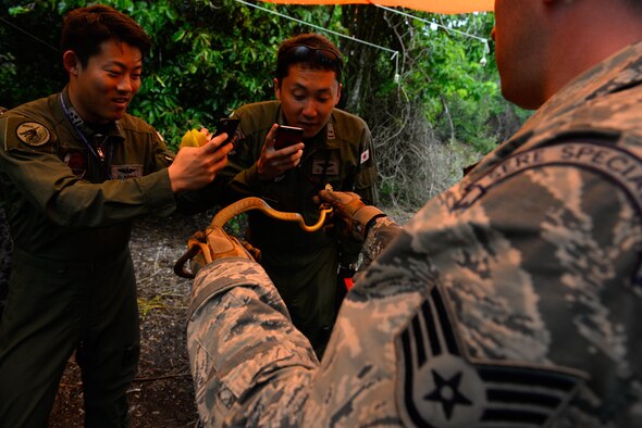 Staff Sgt. Levi Wood, survival, evasion, resistance and escape instructor assigned to the 353rd Combat Training Squadron, right, shows a captured Brown Tree snake to Japan Air Self-Defense Force airmen during a jungle survival workshop Feb. 16, 2016, at Andersen Air Force Base, Guam. Exercise Cope North 16 includes 22 total flying units and nearly 3,000 personnel from six countries and continues the growth of strong, interoperable and beneficial relationships within the Indo-Asia-Pacific region through integration of airborne and land-based command and control assets. (U.S. Air Force photo by Staff Sgt. Alexander W. Riedel/Released)
