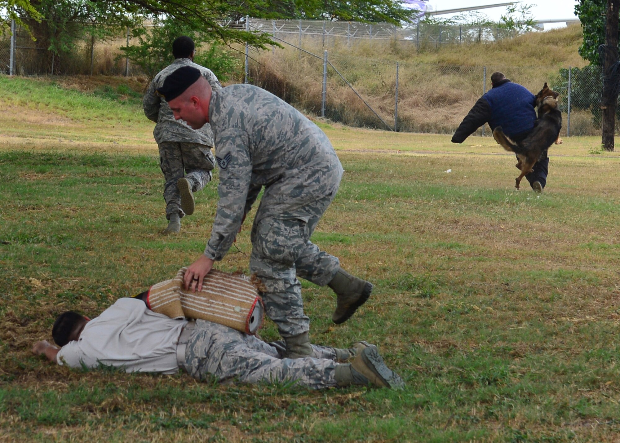 Military working dog handlers and Military Working Dog Chewy, from the 647th Security Forces Squadron, demonstrate their training techniques to students from Aiea High School’s Air Force Junior Reserve Officer Training Corps on Joint Base Pearl Harbor-Hickam, Hawaii, Feb 18, 2016. The 30 JROTC students toured a C-17 Globemaster III and visited the 647th Explosive Ordnance Disposal unit and the 647th Security Forces Squadron's military working dog kennel during their visit to JBPHH. (U.S. Air Force photo by Tech. Sgt. Aaron Oelrich/Released) 