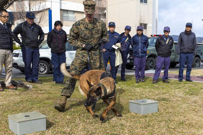 Lance Cpl. Landon Gilliam, provost marshal’s office military working dog handler with Headquarters and Headquarters Squadron, demonstrates the use of scent boxes to the officers from the Hiroshima Prefectural Police Headquarters during a joint training exercise at Marine Corps Air Station Iwakuni, Japan, Feb. 17, 2016. K-9’s are trained on scent boxes in order to get them familiar with the different scents of various explosives. Handlers and their dogs must train regularly in order to maintain operational readiness, become a more effective team and ensure the safety of everyone on the air station.