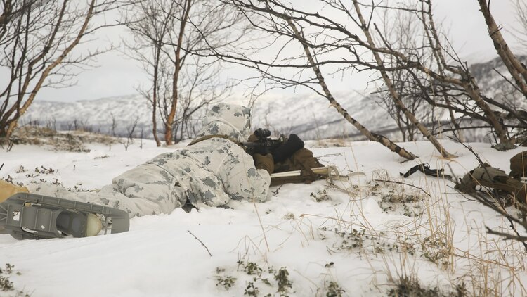 A Marine with Black Sea Rotational Force sights in on the enemy target while maintaining cover and concealment during the final exercise of cold-weather training aboard Porsangmoen, Norway, Feb. 16-20, 2016. Arctic training was conducted by U.K. Royal Marine Commando Mountain Leaders and hosted by the Norwegian military to improve the U.S. Marine Corps’ capability to support their NATO Allies in extreme environments. 