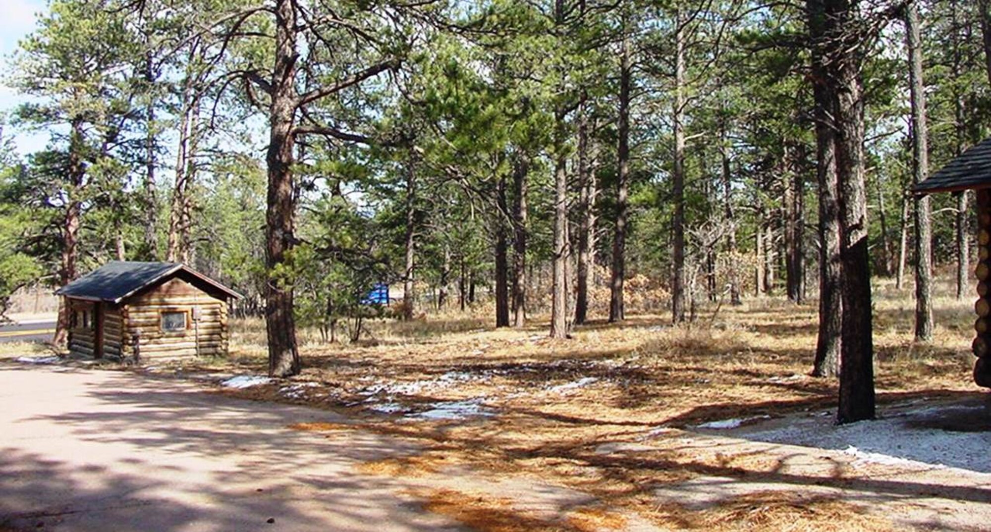 U.S. Air Force Academy fire fighters and staff members from its Natural Resource Office have cleared areas around the base of combustible materials or "fuel" as seen in this cleared area off Community Center Drive. The Academy was recognized by the National Fire Protection Association in February as a Firewise Community for it's efforts to mitigate wildfires. 
