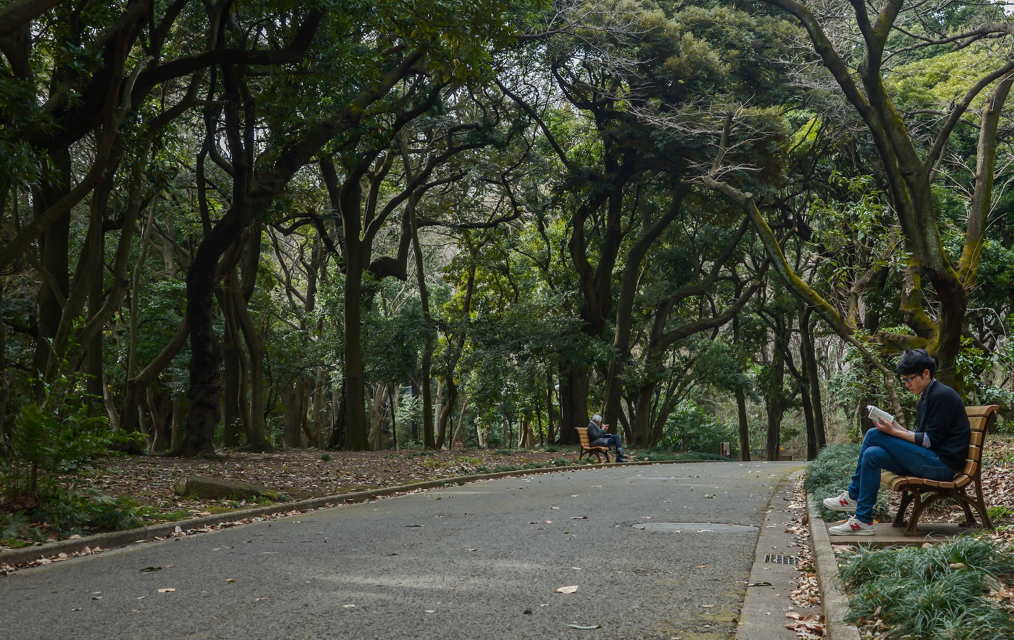 Park visitors read books on benches within the Shinjuku Gyoen National Garden, Shinjuku, Japan, Feb. 17, 2016. The Shinjuku Gyoen National Garden is one of Tokyo’s largest parks being 144 acres in size with a circumference of 2.2 miles. (U.S. Air Force photo by Senior Airman David Owsianka/Released)