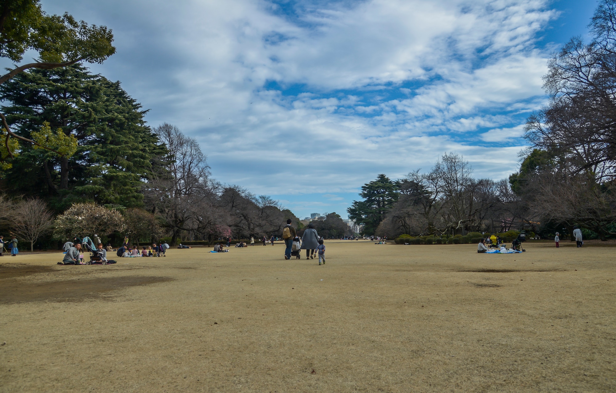 Park visitors relax and walk through a lawn area within the Shinjuku Gyoen National Garden, Shinjuku, Japan, Feb. 17, 2016. The Shinjuku Gyoen National Garden is one of Tokyo’s largest parks being 144 acres in size with a circumference of 2.2 miles. (U.S. Air Force photo by Senior Airman David Owsianka/Released)