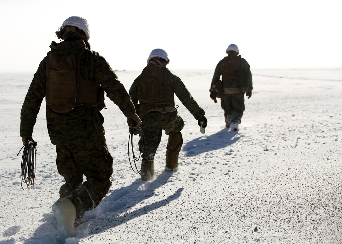 Marines with 2nd Explosive Ordnance Disposal Company, Combat Logistics Battalion 252 walk onto a range to set up and prime explosives in Rena, Norway, Feb. 22, 2016, in preparation for Exercise Cold Response 2016. The exercise will include 12 NATO allies and partner nations, and approximately 16,000 troops. Marines will train alongside Norwegian EOD specialists to see how they operate in order to become more proficient at working with each other in the future.