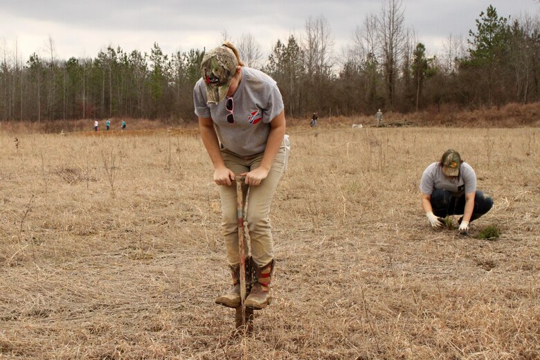 Junior ROTC Pfc. Jesse Chumbley plants a seedling while Pfc. Cassie Burus digs a hole during a project to restore the environment at a disposal area near Wolf Creek Dam in Jamestown, Ky. 