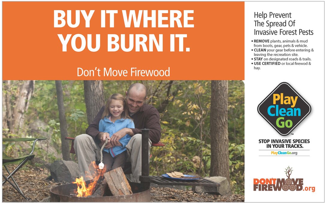 Buy it where you burn it. Dontmovefirewood.org reminds the public to help prevent the spread of invasive forest pests by not moving firewood. Tree-killing insects and diseases can lurk in firewood. They can't move far on their own, but when people move firewood they can jump hundreds of miles. New infestations destroy our forests, property values, and can be costly to control.