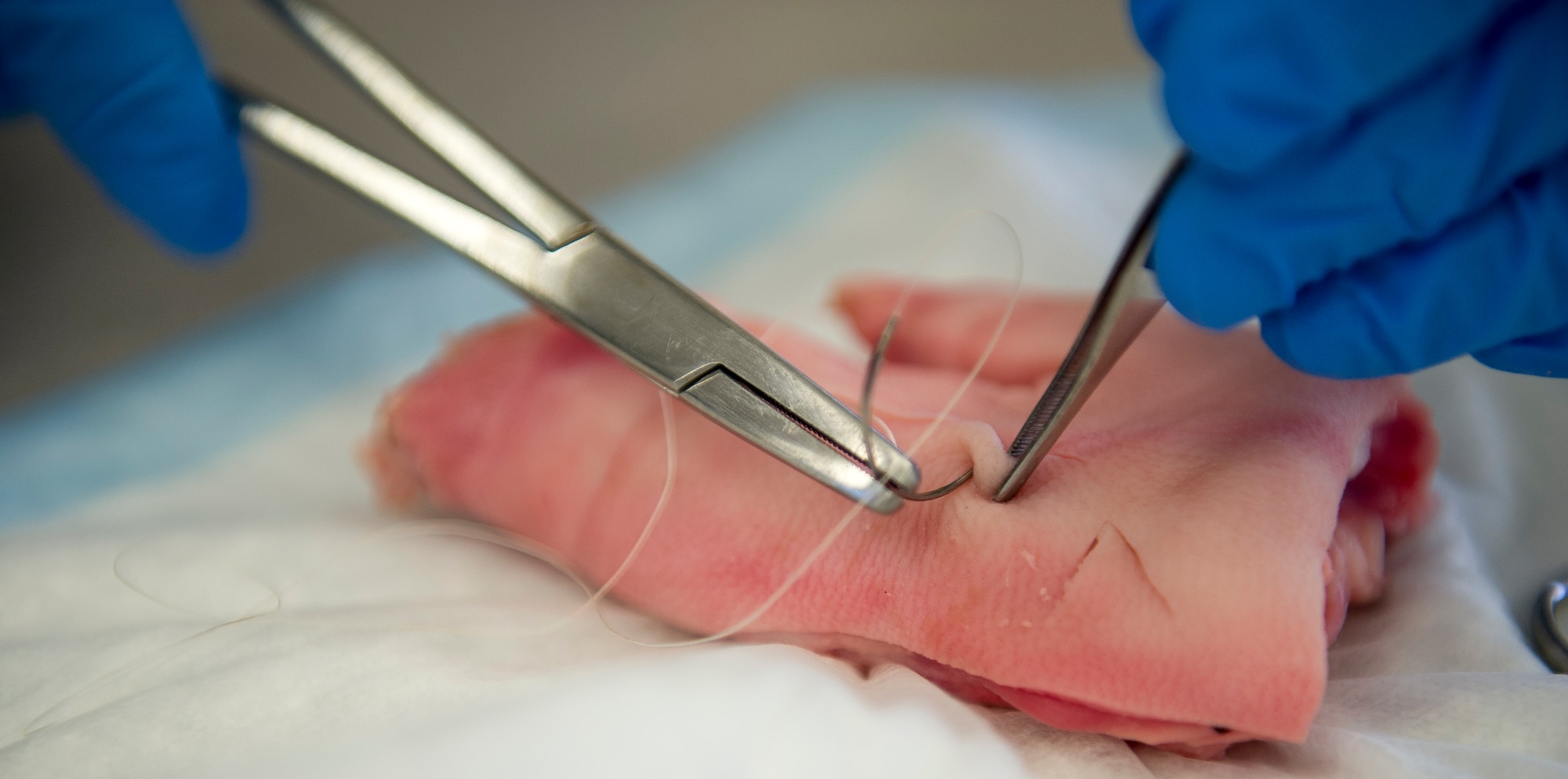 Airmen from the 628th Medical Group practiced their suturing skills with help from two trauma surgeons from the Medical University of South Carolina on Joint Base Charleston – Air Base, S.C., on Feb. 17, 2016. Suturing is a stitch or series of stitches done to secure the edges of a surgical or traumatic wound. Using pig’s feet, they were able to approximate human tissue. (U.S. Air Force photo/Airman 1st Class Thomas T. Charlton)