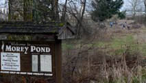 Volunteers from the 627th Civil Engineer Squadron gather to cleanup Morey Pond on Joint Base Lewis-McChord, Wash, Feb. 27, 2016. The volunteers spent the day clearing out more than one and a half acres of overgrown invasive species of plants growing along the banks of the pond. (U.S. Air Force photo/Senior Airman Divine Cox)