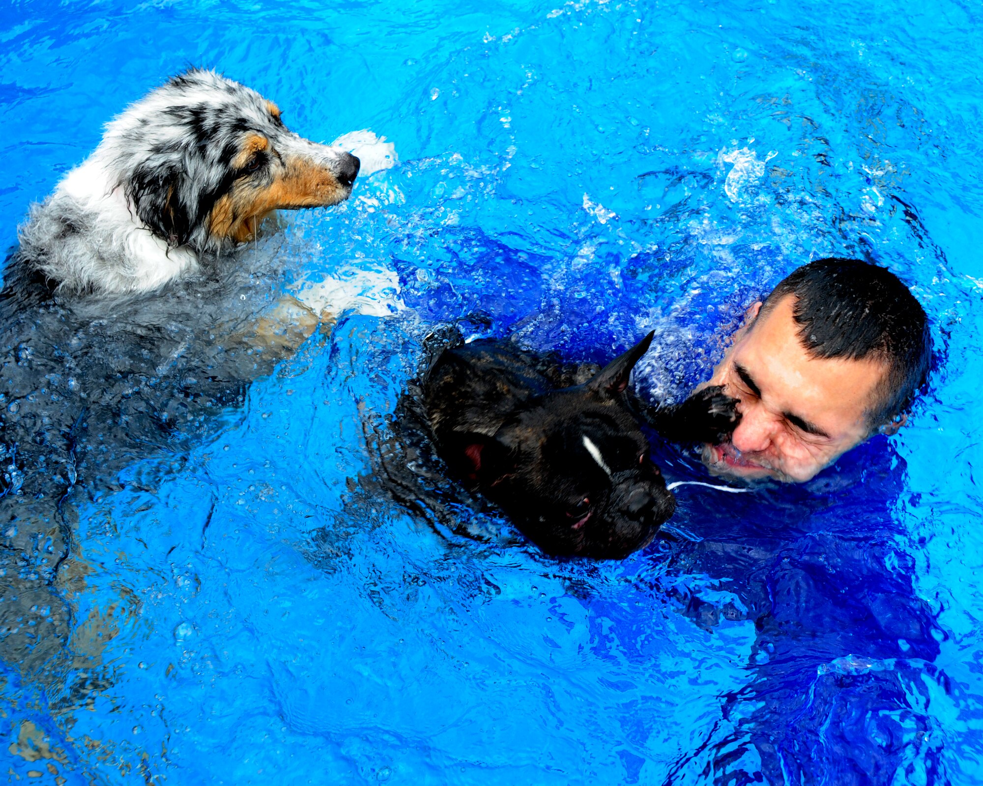 U.S. Air Force Capt. Dayne Foote, 39th Security Forces Squadron Intel and Investigations officer in charge, swims with his dog Olaf, during the 2016 Dog Daze Feb. 27, 2016, at Incirlik Air Base, Turkey. Titans were able to bring their canine pals to the pool to enjoy the cool water and relax in the sun. (U.S. Air Force photo by Airman Daniel Lile/Released)