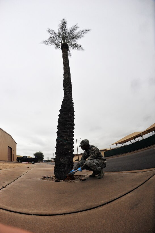 Senior Airman Gollie Felder, 56th Civil Engineer Squadron Pest Management journeyman, uses a mini dust-r containing Delta Dust insecticide Jan. 5, 2016 to drive out and kill the bees in a beehive at Luke Air Force Base, Ariz. This past year Pest Management eliminated more than 75 beehives. (U.S. Air Force photo by Senior Airman Grace Lee)