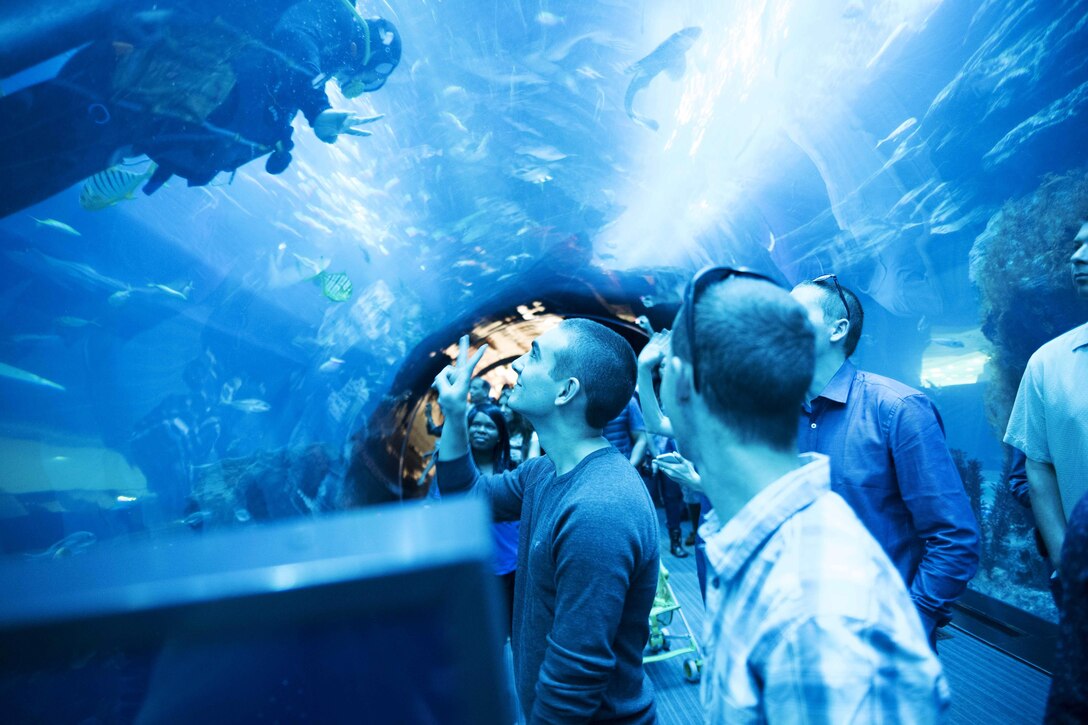 U.S. sailors and Marines watch an underwater show at an aquarium in Dubai as part of a Morale, Welfare and Recreation-sponsored tour during a port visit to Jebel Ali, United Arab Emirates, Dec. 24, 2015. The service members are assigned to the USS Kearsarge, which is deployed to support security efforts in the U.S. 5th Fleet area of responsibility. U.S. Navy photo by Petty Officer Seaman Roland Ardon