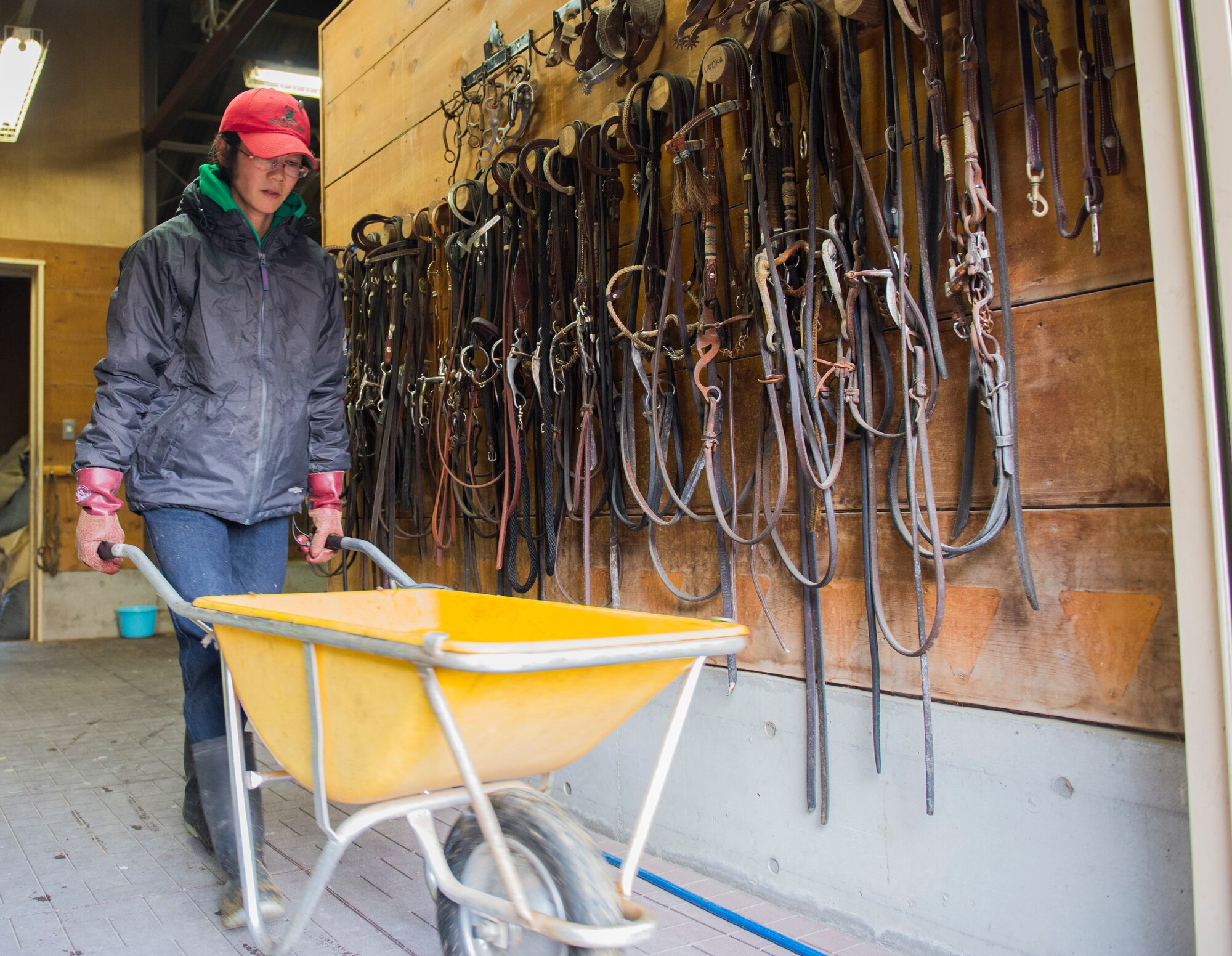 Hisae Kosuge, Tama Stables stable hand, carts water for the horses at Tama Stables at Tama Hills, Japan, Dec. 16, 2015. Tama Stables houses 19 horses and ponies for military personnel and their families to enjoy. (U.S. Air Force photo by Airman 1st Class Elizabeth Baker/Released)