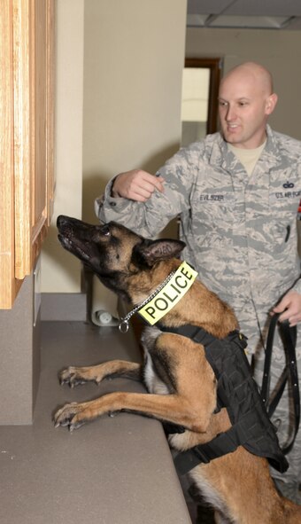 Vvelma, 2nd Security Forces Squadron military working dog, inspects a cabinet during a detection exercise at Barksdale Air Force Base, La., Dec. 21, 2015. During training, instructors evaluate handler and dog teams to determine what skills the teams are proficient at and what skills need more attention. (U.S. Air Force photo/Senior Airman Amanda Morris)