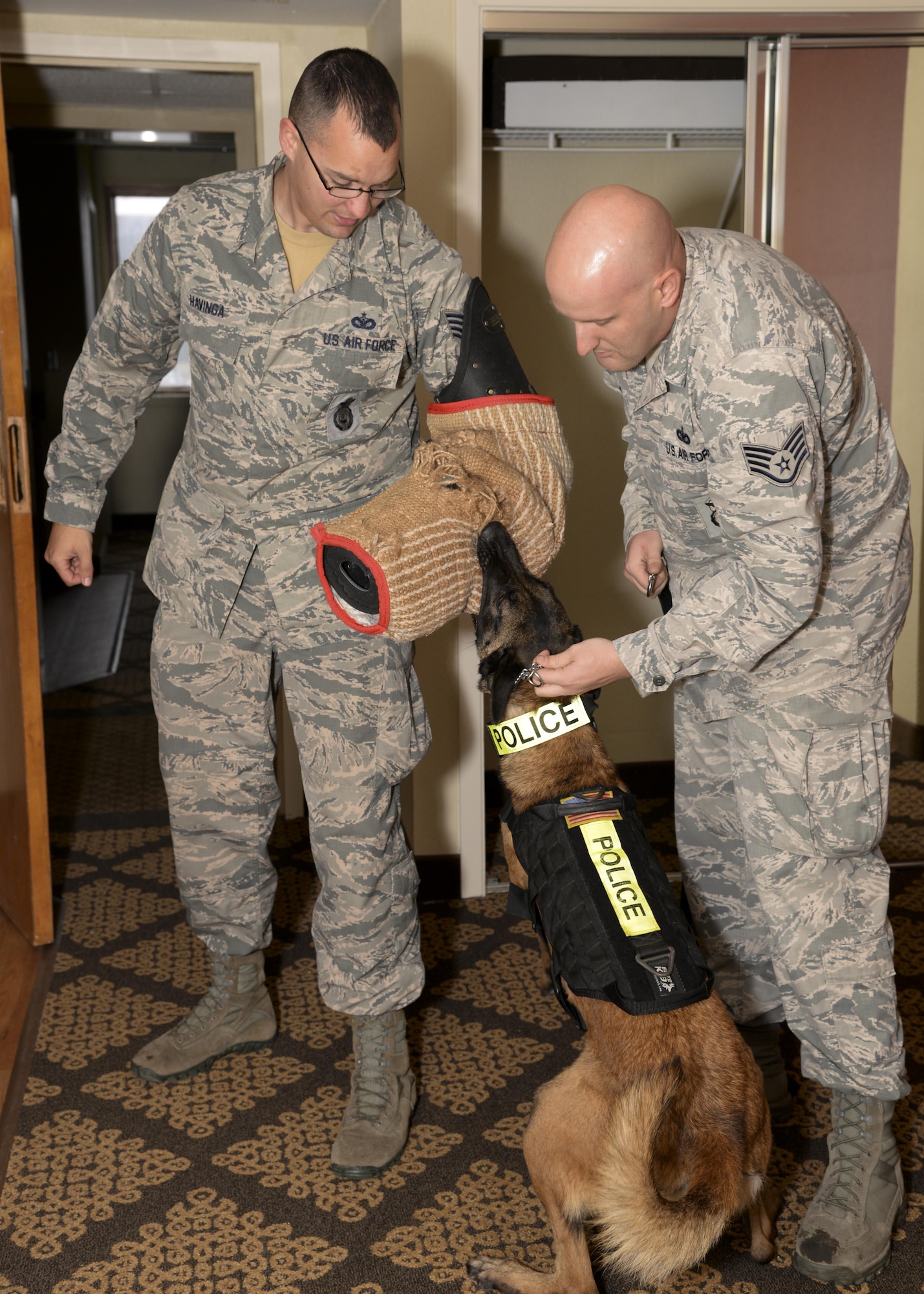 Staff Sgts. Jason Havinga and Robert Evilsizer, 2nd Security Forces Squadron military working dog personnel, conduct bite training with Vvelma, 2nd SFS MWD, at Barksdale Air Force Base, La., Dec. 21, 2015. Handler and dog teams enhance law enforcement, psychological deterrence, explosive and narcotic detection, bomb threat response and secret service support. (U.S. Air Force photo/Senior Airman Amanda Morris)