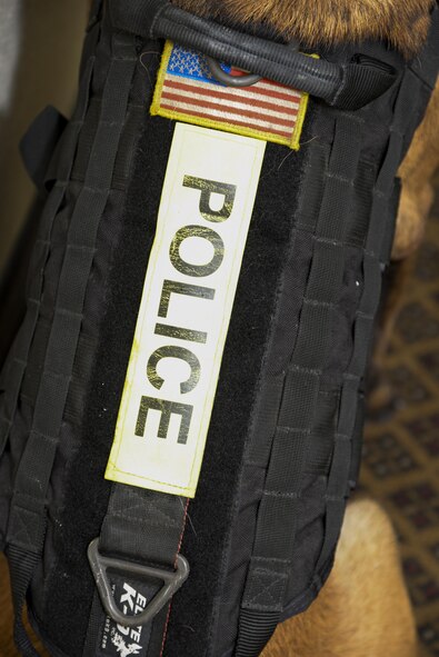 The 2nd Security Forces Squadron military working dog unit provides force protection for the base and the community; conducting random vehicle searches and providing bomb threat response to facilities. Handler and dog teams enhance law enforcement, psychological deterrence, explosive detection, narcotic detection, bomb threat response and U.S. Secret Service support. (U.S. Air Force photo/Senior Airman Amanda Morris)