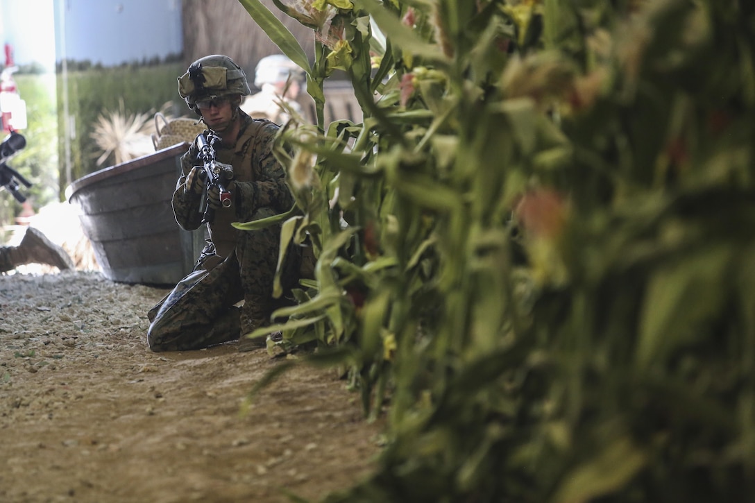 U.S. Marines assigned to Alpha Company, Battalion Landing Team, 1st Battalion, 6th Marine Regiment, 22nd Marine Expeditionary Unit, participate in an infantry immersion training exercise at Marine Corps Base Camp Lejeune, N.C., Dec. 14, 2015. BLT 1/6 conducted the training in preparation for a future deployment with the 22nd Marine Expeditionary Unit.