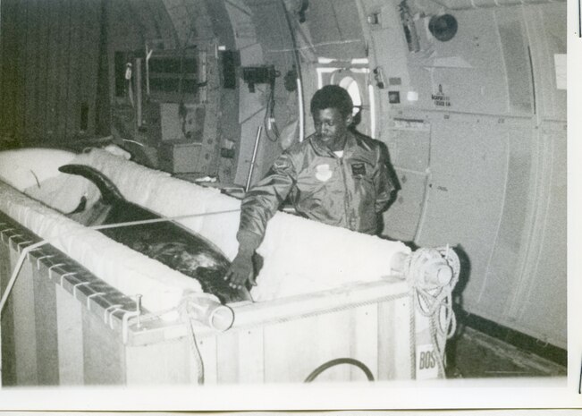 JOINT BASE CHARLESTON, SC -- The 20th Military Airlift Squadron airlifted a Risso Dolphin named Mom, from Boston to Kaneohe, Hawaii. The dolphin was assigned to the U.S. Navy's underwater security and test program that utilized specially trained dolphins. According to Major Frank Metzger, the crew had to keep the temperature in the cargo compartment so low, that the dolphin's spray would freeze on the floor. The cold temperatures supposedly prevented undue psychological harm to the dolphin during the flight. (Courtesy Photo)