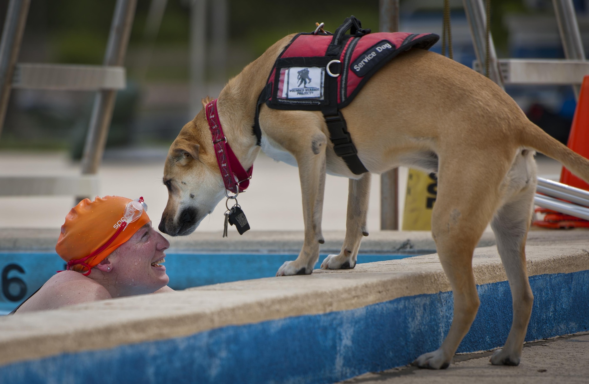 Melissa Gonzales, an Air Force Wounded Warrior athlete, shares a moment with her service dog, Bindi, after swimming laps during the fourth day of an introductory adaptive sports and rehabilitation camp at Eglin Air Force Base, Fla., April 16, 2015. The Department of Defense’s military adaptive sports program enhances warrior recovery by engaging wounded, ill and injured service members in ongoing, daily adaptive activities, based on their interest and ability. (U.S. Air Force photo/Samuel King Jr.)